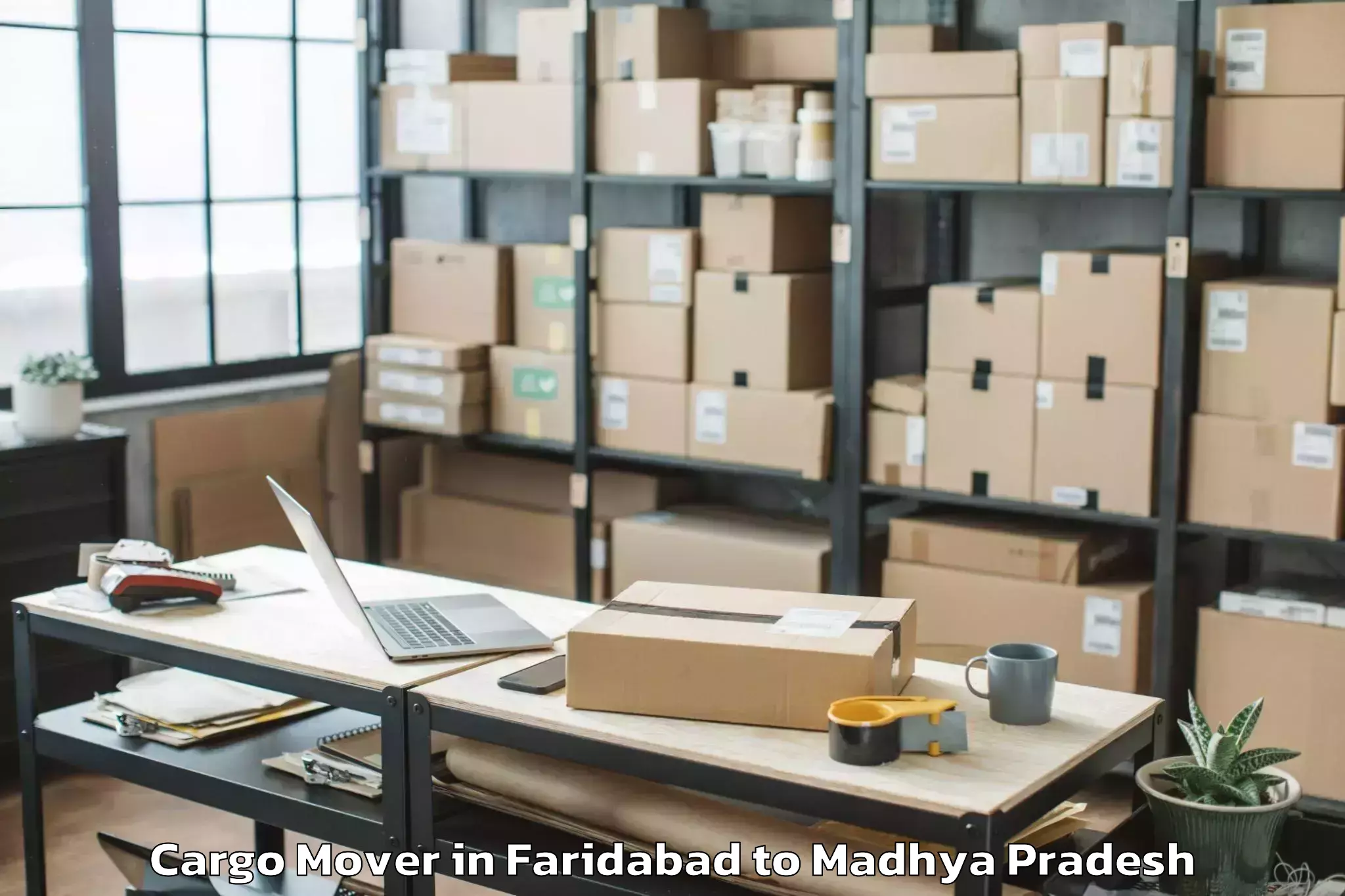 Reliable Faridabad to Dabra Cargo Mover